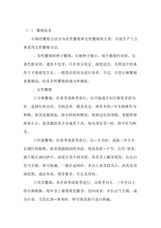 铁皮石斛种植方法