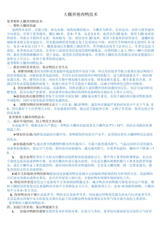 大棚养殖肉鸭技术