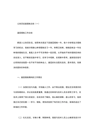 公务员实践锻炼总结