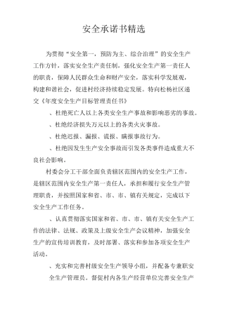 安全承诺书精选