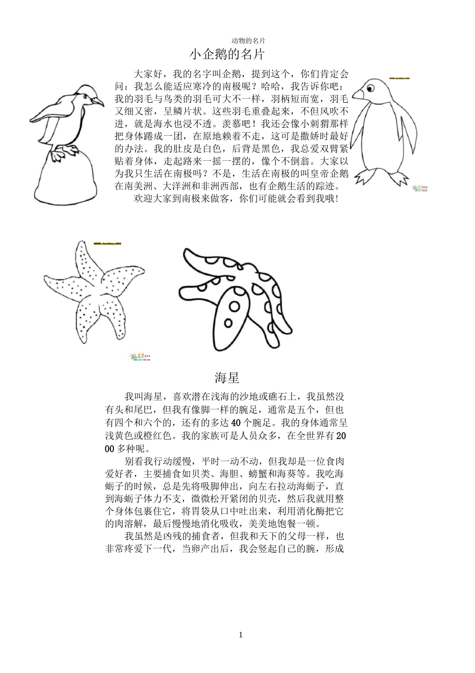 动物的名片(图文并茂)_第1页