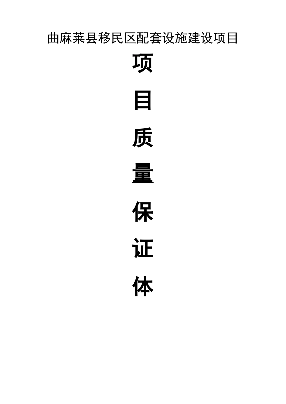 项目质量保证体系_第2页