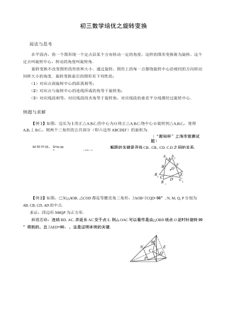 初三数学培优之旋转变换