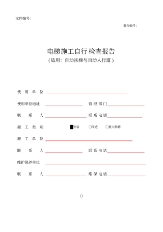 自动扶梯和自动人行道自检报告样本-副本汇总
