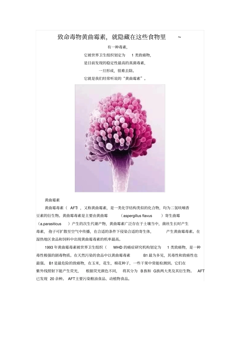 致命毒物黄曲霉素,就隐藏在这些食物里~汇总_第1页