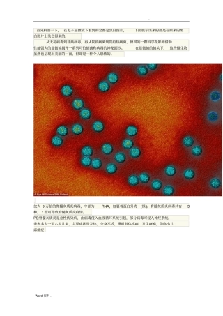 致命的美丽：显微镜下的细菌和病毒14P