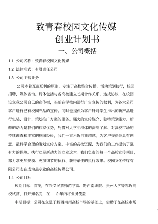 致青春校园文化传媒公司可行性研究报告