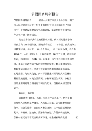 节假回乡调研报告