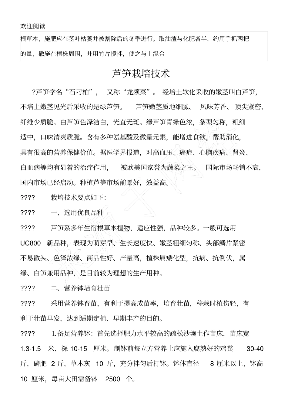 芦笋的种植方法_第2页