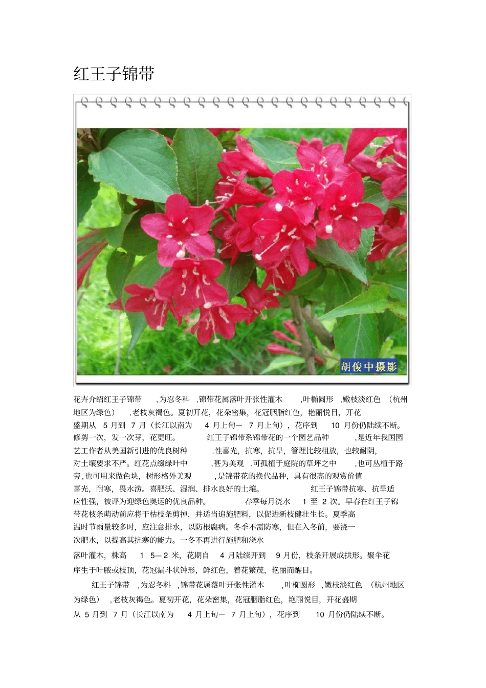 花卉相关资料汇总_第1页