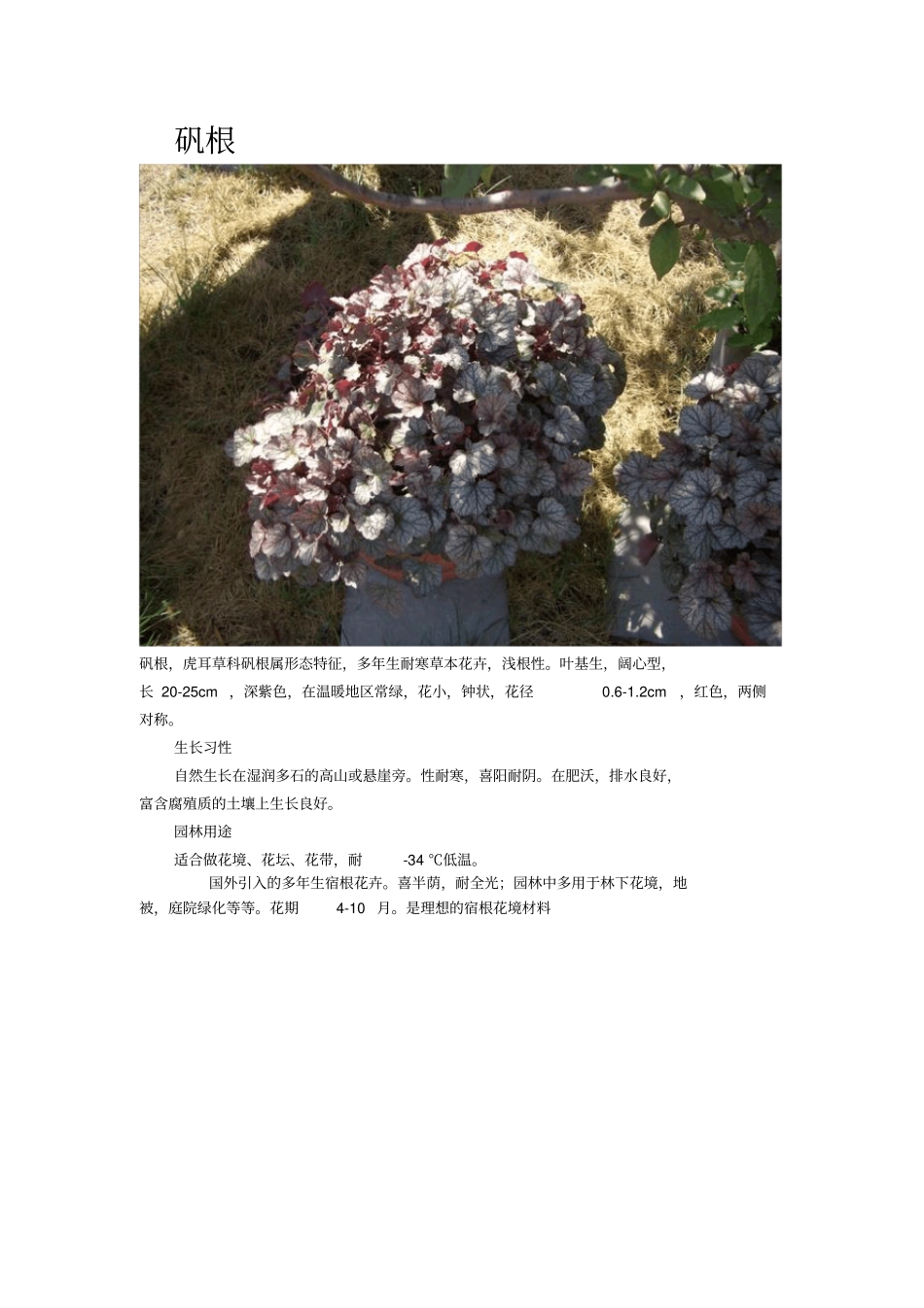 花卉相关资料汇总_第3页