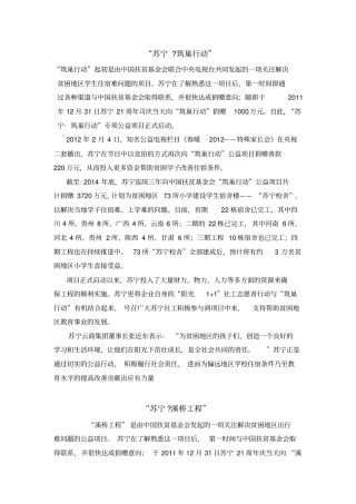 苏宁公益项目介绍