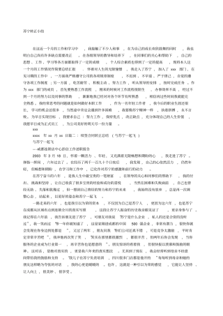 苏宁转正述职报告