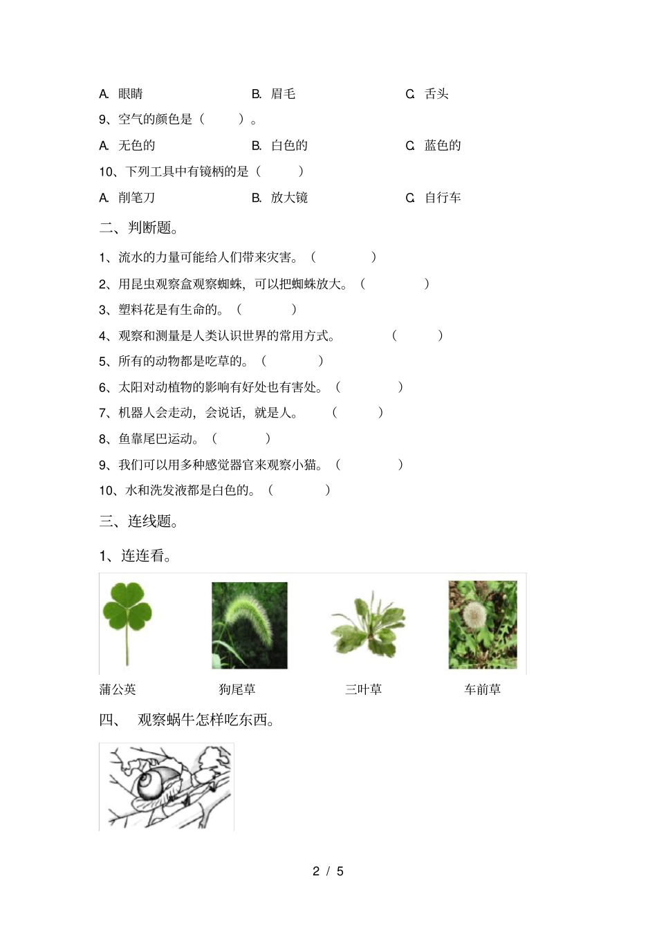 苏教版一年级科学上册期末考试卷及答案【完整】_第2页