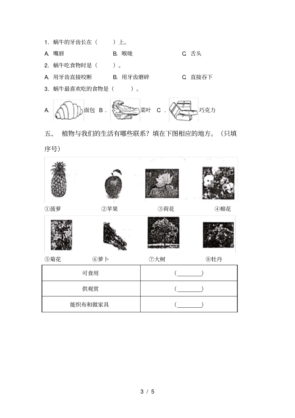 苏教版一年级科学上册期末考试卷及答案【完整】_第3页