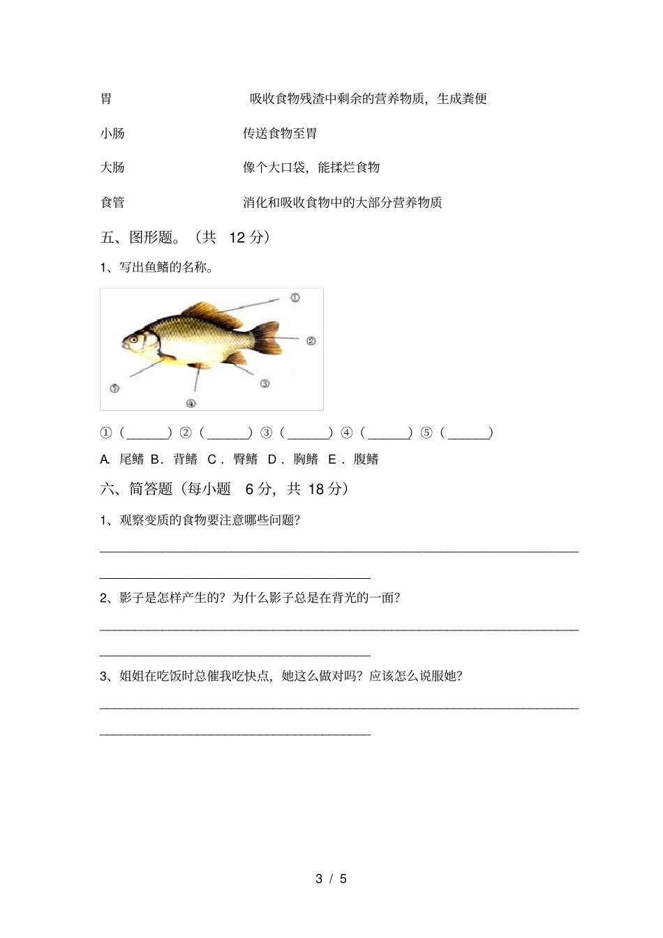 苏教版四年级科学上册期末考试卷含答案_第3页