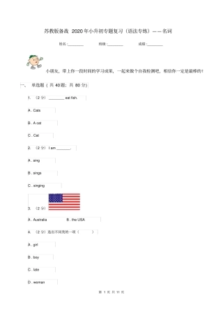 苏教版备战2020年小升初专题复习语法专练——名词