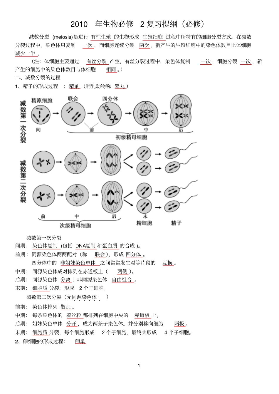 苏教版必修2复习提纲_第1页