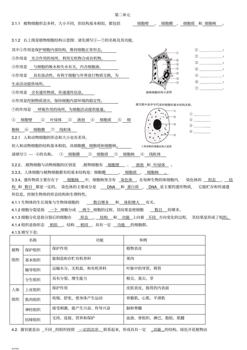苏教版生物七上上学期知识点总结_第2页
