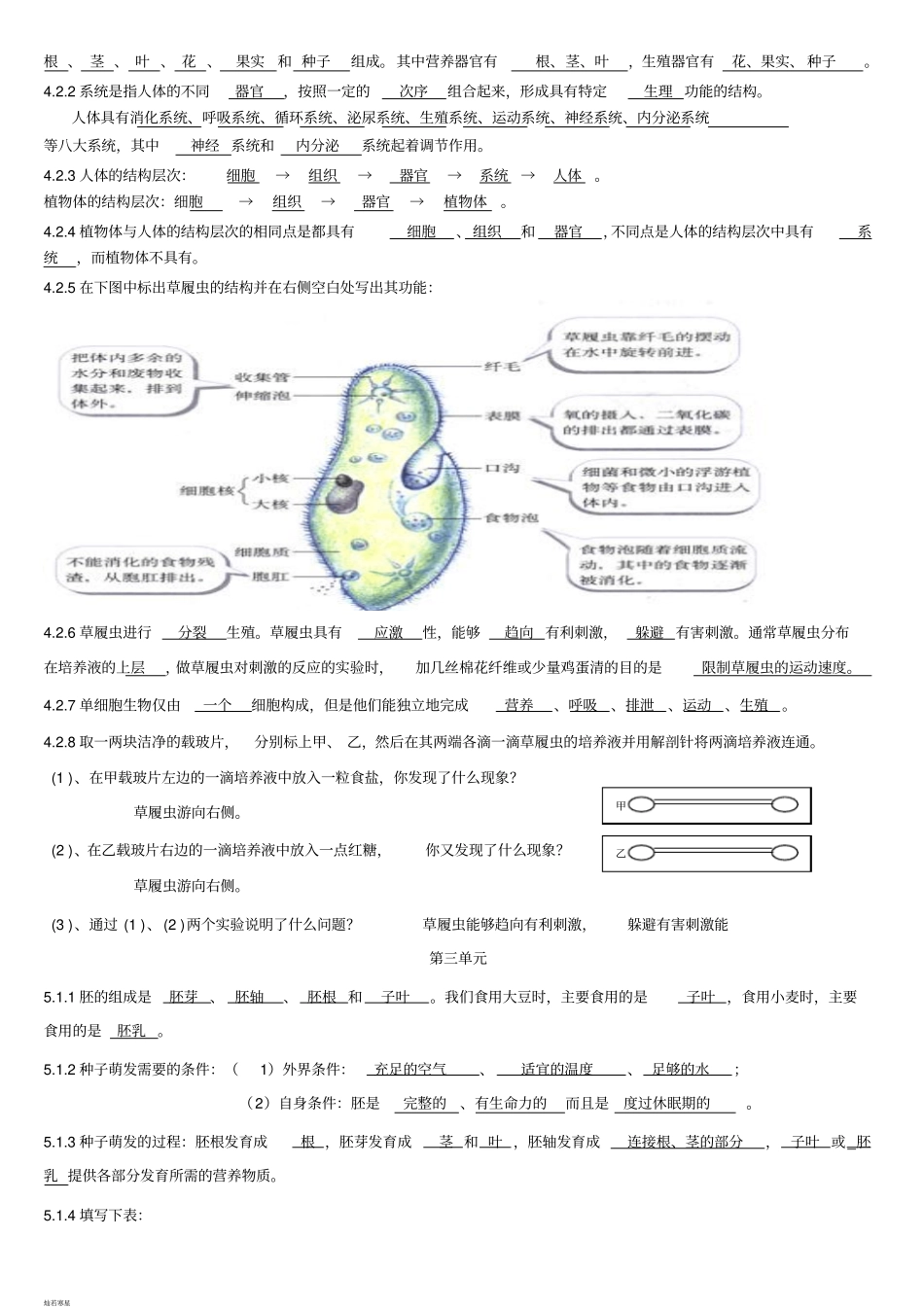 苏教版生物七上上学期知识点总结_第3页