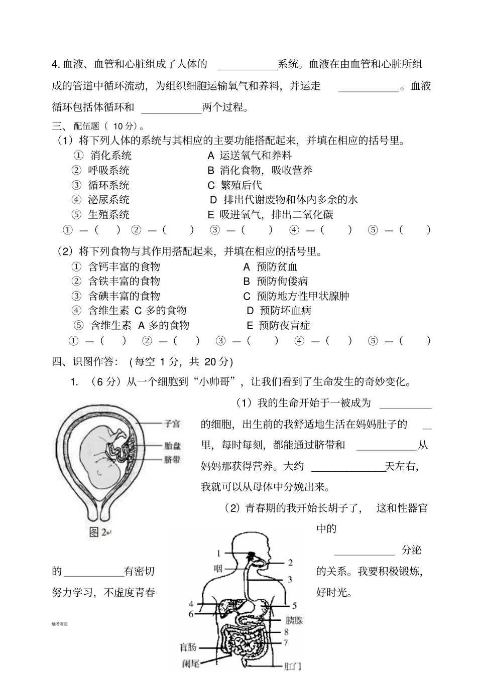 苏教版生物七下期中试卷_第3页