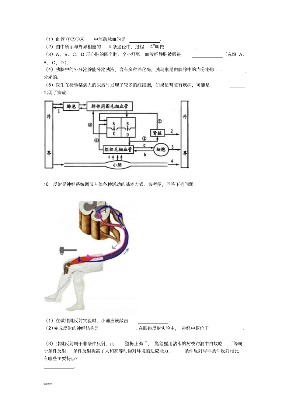 苏教版生物八年级上册月考生物试卷_第3页