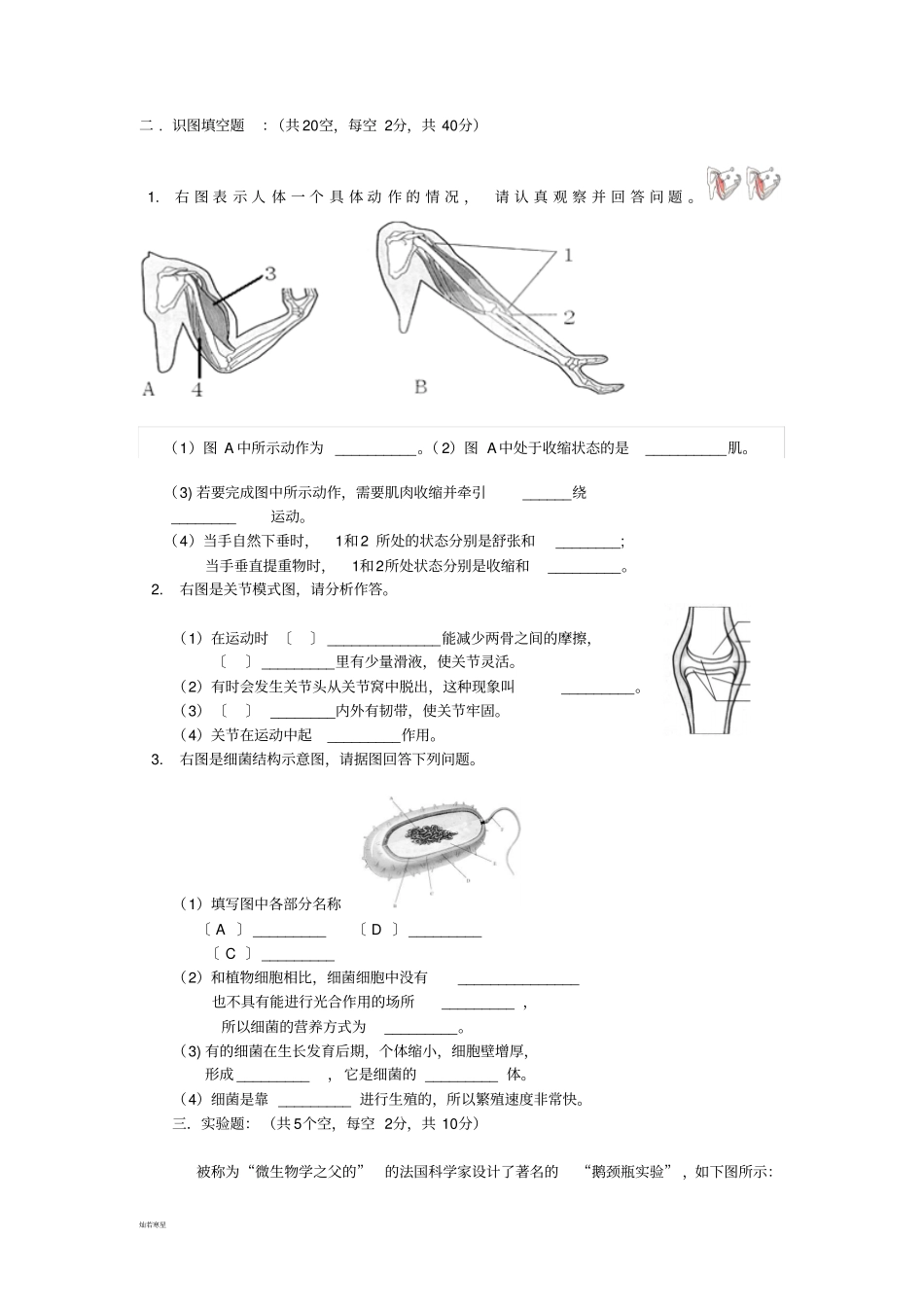 苏教版生物八年级上册期中考试试卷_第3页