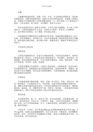 2024年一株月季开出多色花的方法