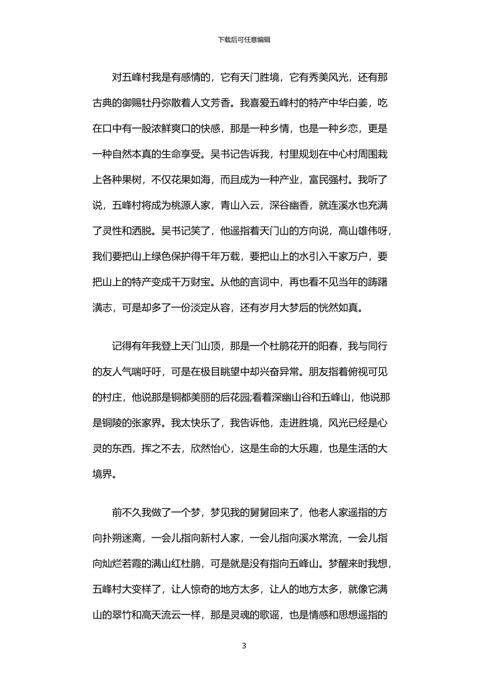 2024年万家灯火暖小村范文大全_第3页