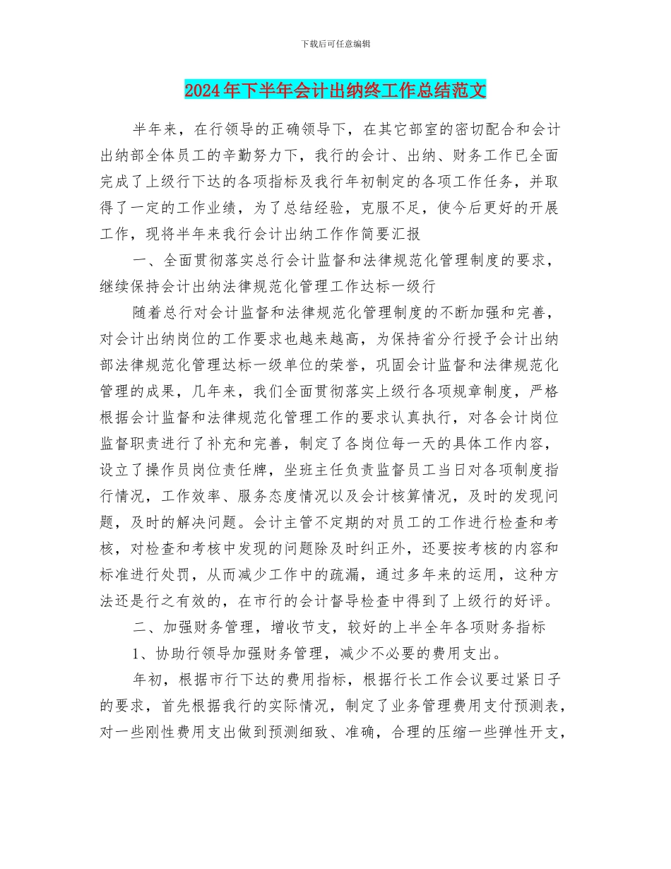 2024年下半年会计出纳终工作总结范文_第1页