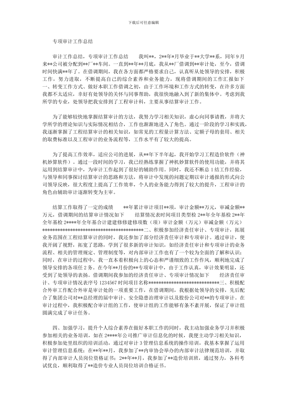 2024年专项审计工作总结最新_第1页