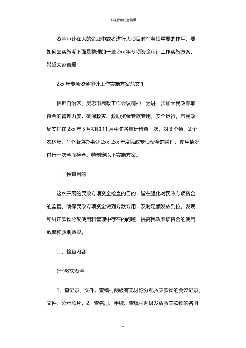 2024年专项资金审计工作实施方案_第1页