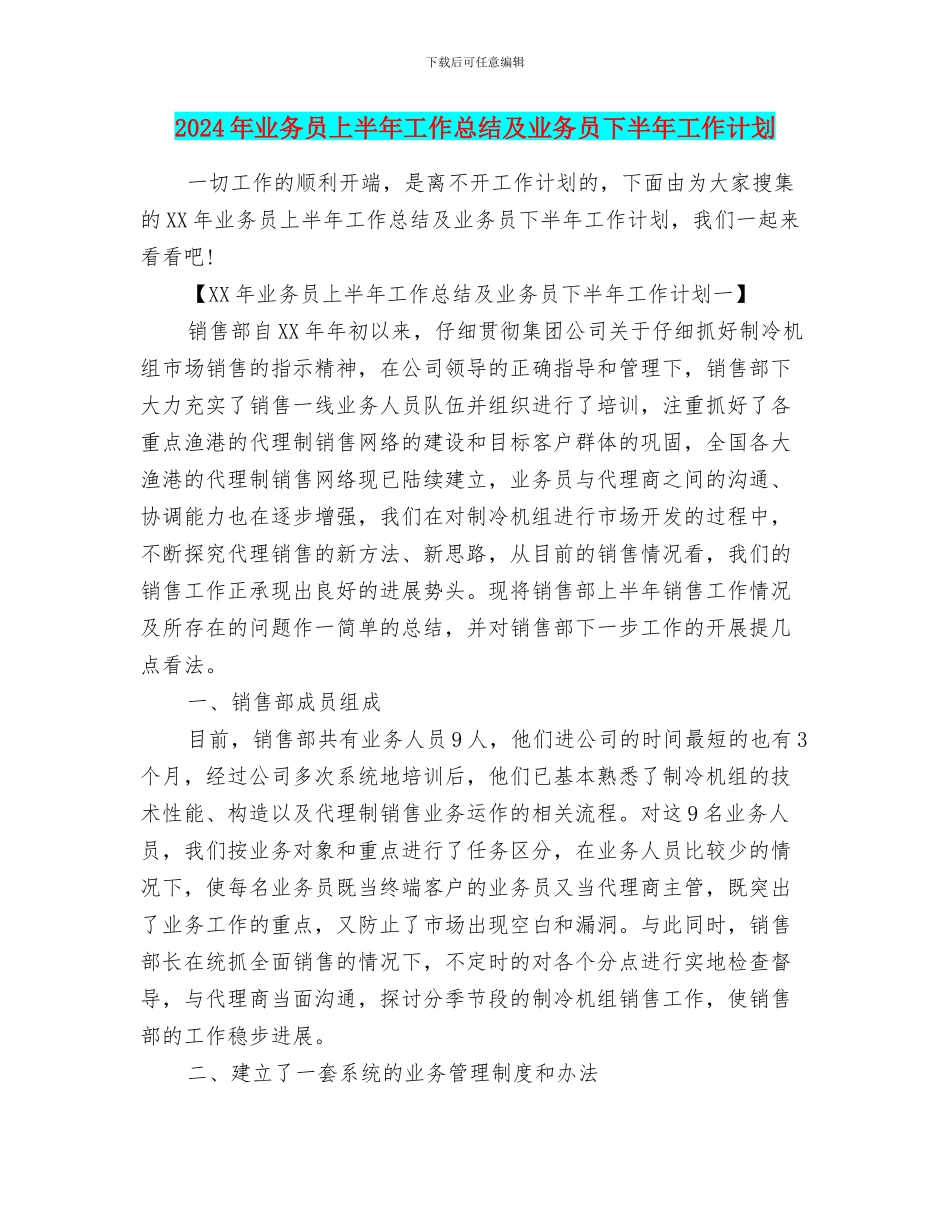 2024年业务员上半年工作总结及业务员下半年工作计划_第1页