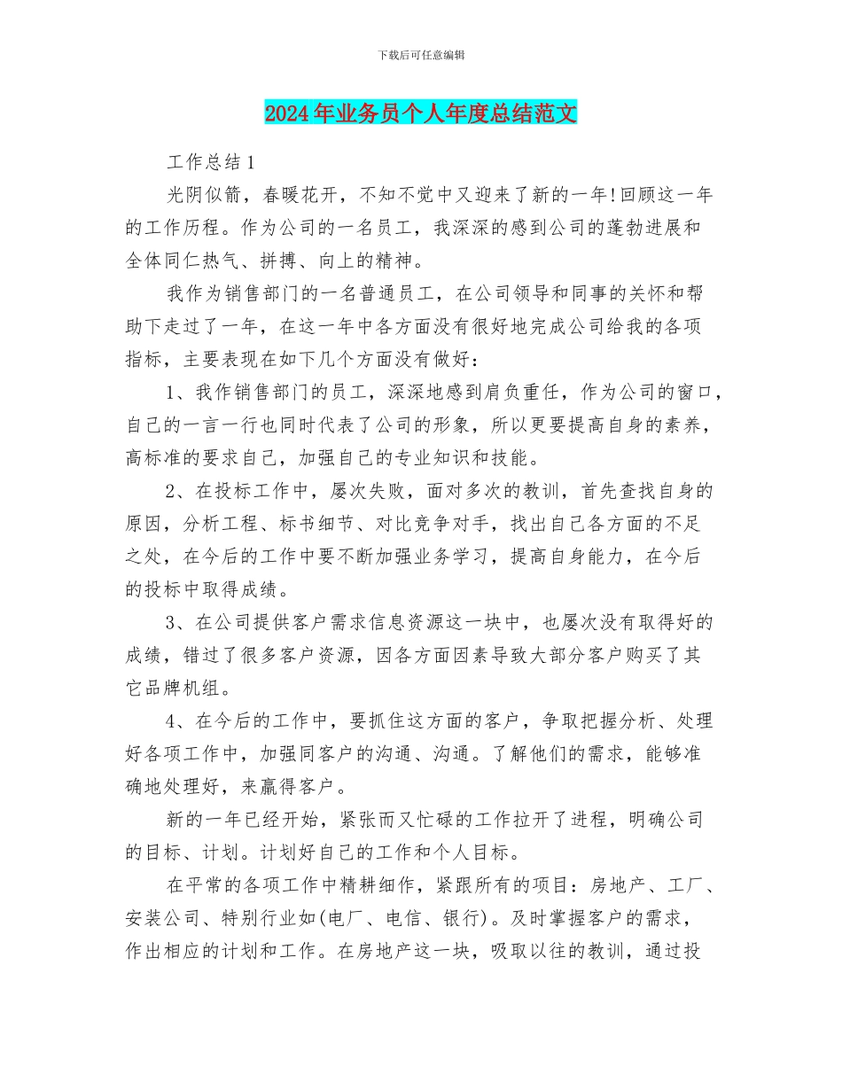 2024年业务员个人年度总结范文_第1页