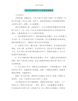 2024年业务员个人年度总结范文