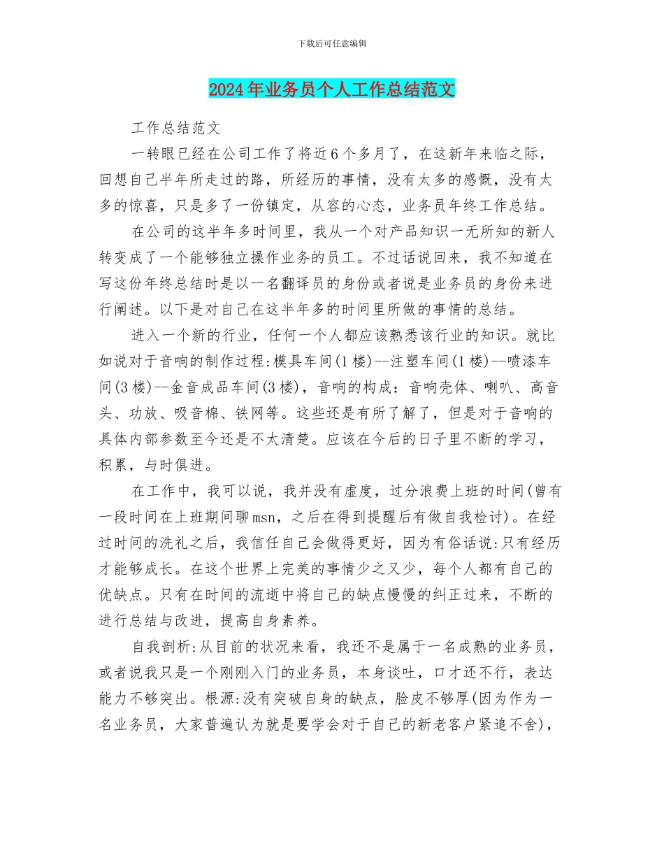 2024年业务员个人工作总结范文_第1页