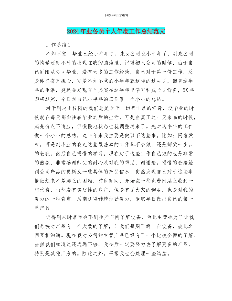 2024年业务员个人年度工作总结范文_第1页