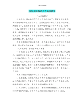 2024年业务员个人总结范文