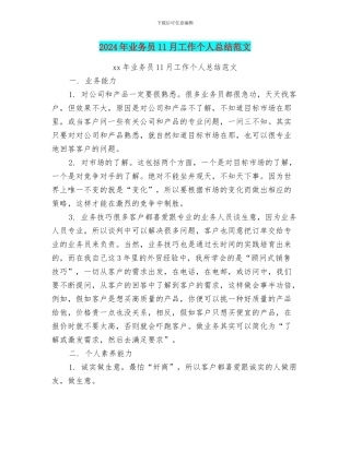 2024年业务员11月工作个人总结范文