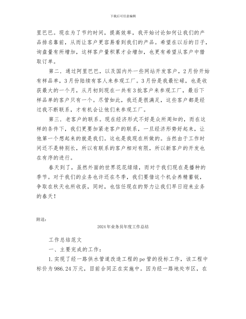 2024年业务员市场销售工作总结_第2页