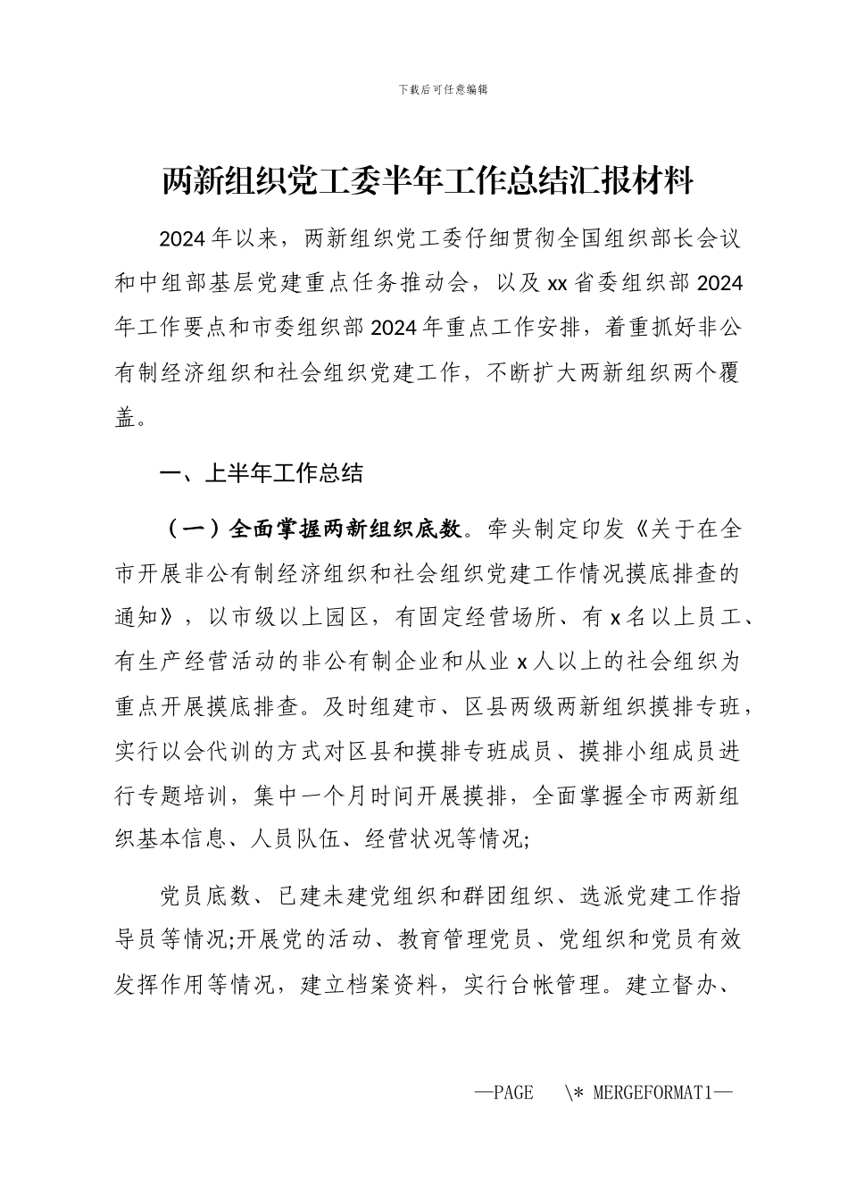 2024年两新组织党工委半年工作总结汇报材料_第1页
