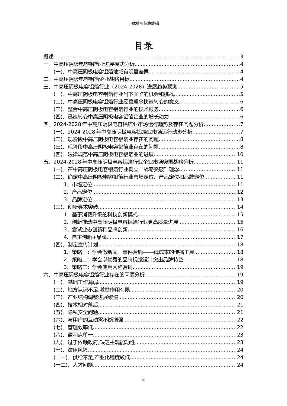 2024年中高压阴极电容铝箔行业洞察报告及未来五至十年预测分析报告_第2页