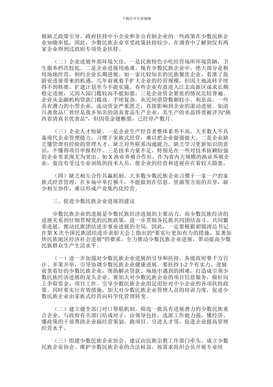 2024年乡镇少数民族企业发展情况调查报告_第2页