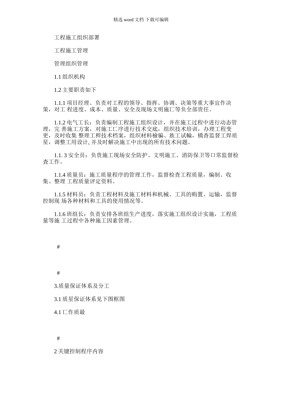 2024年亮化工程项目施工组织范本_第1页