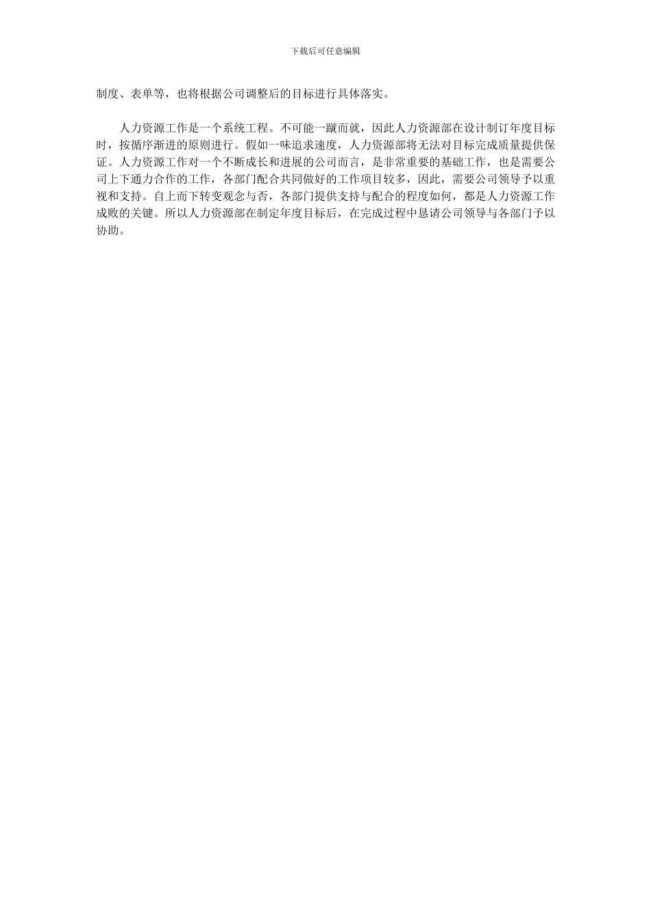 2024年人力资源工作计划_第2页