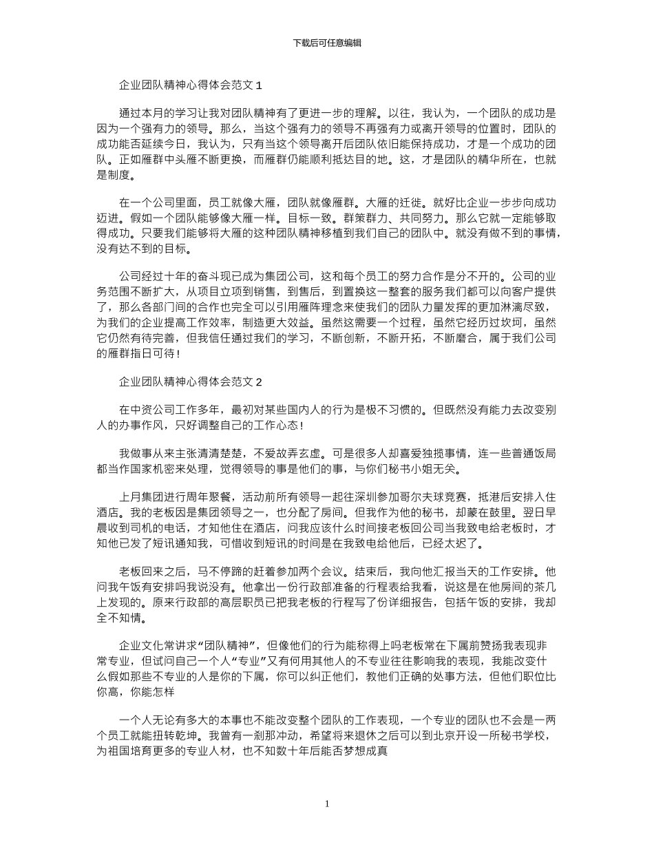 2024年企业团队精神心得体会范文_第1页