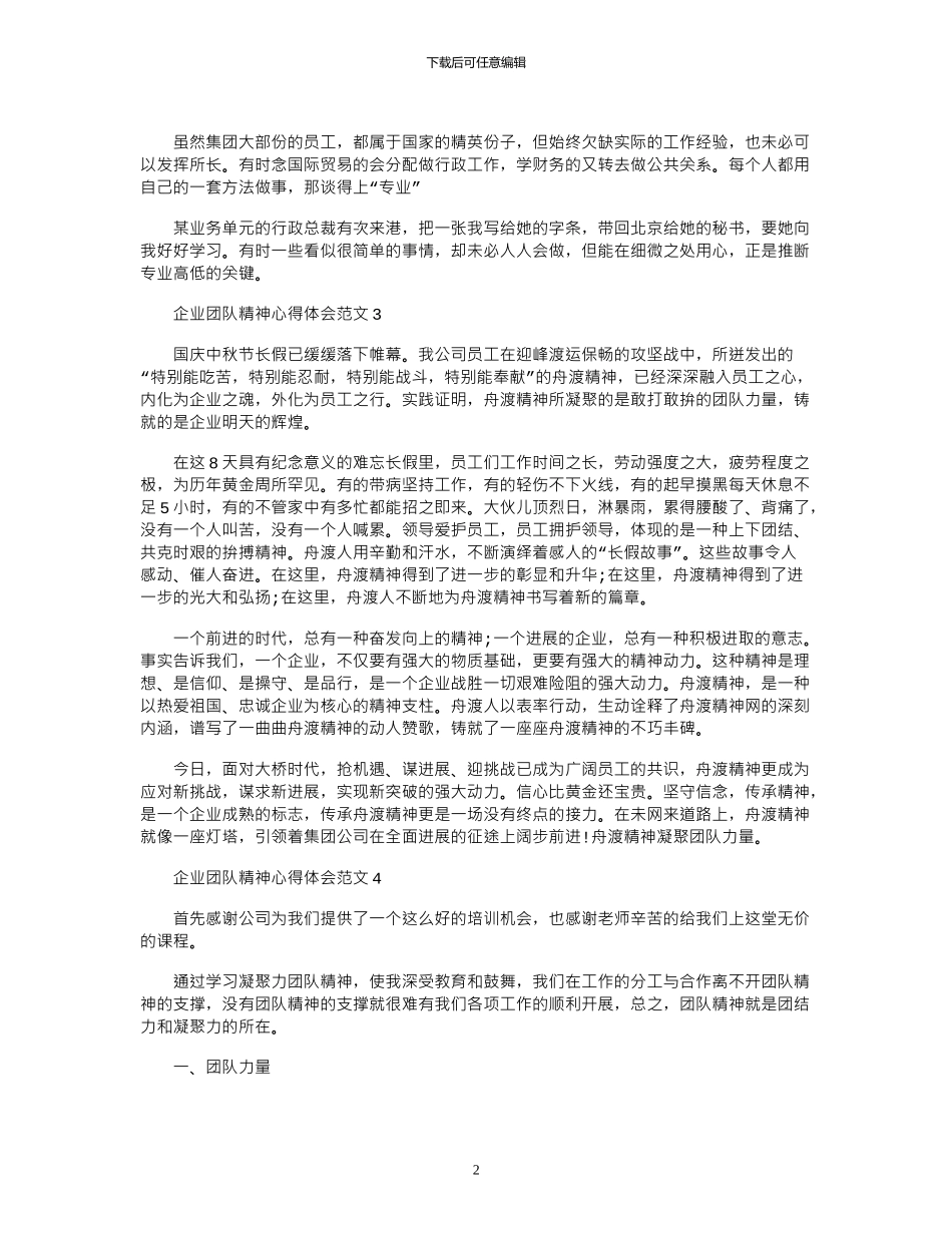 2024年企业团队精神心得体会范文_第2页