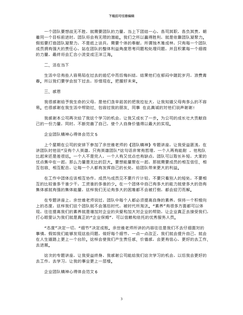 2024年企业团队精神心得体会范文_第3页