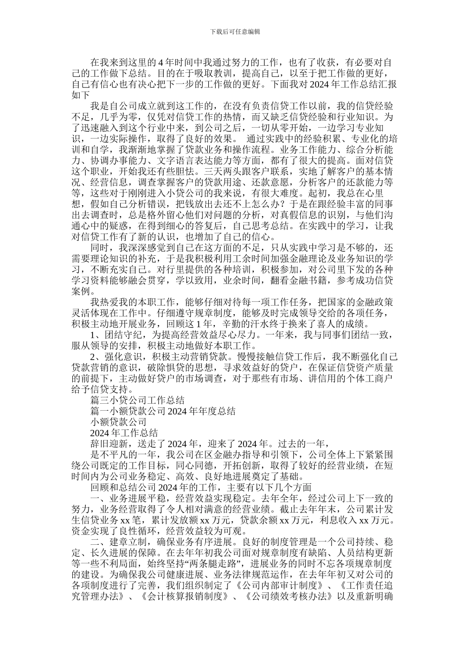 2024年信贷公司工作总结_第2页