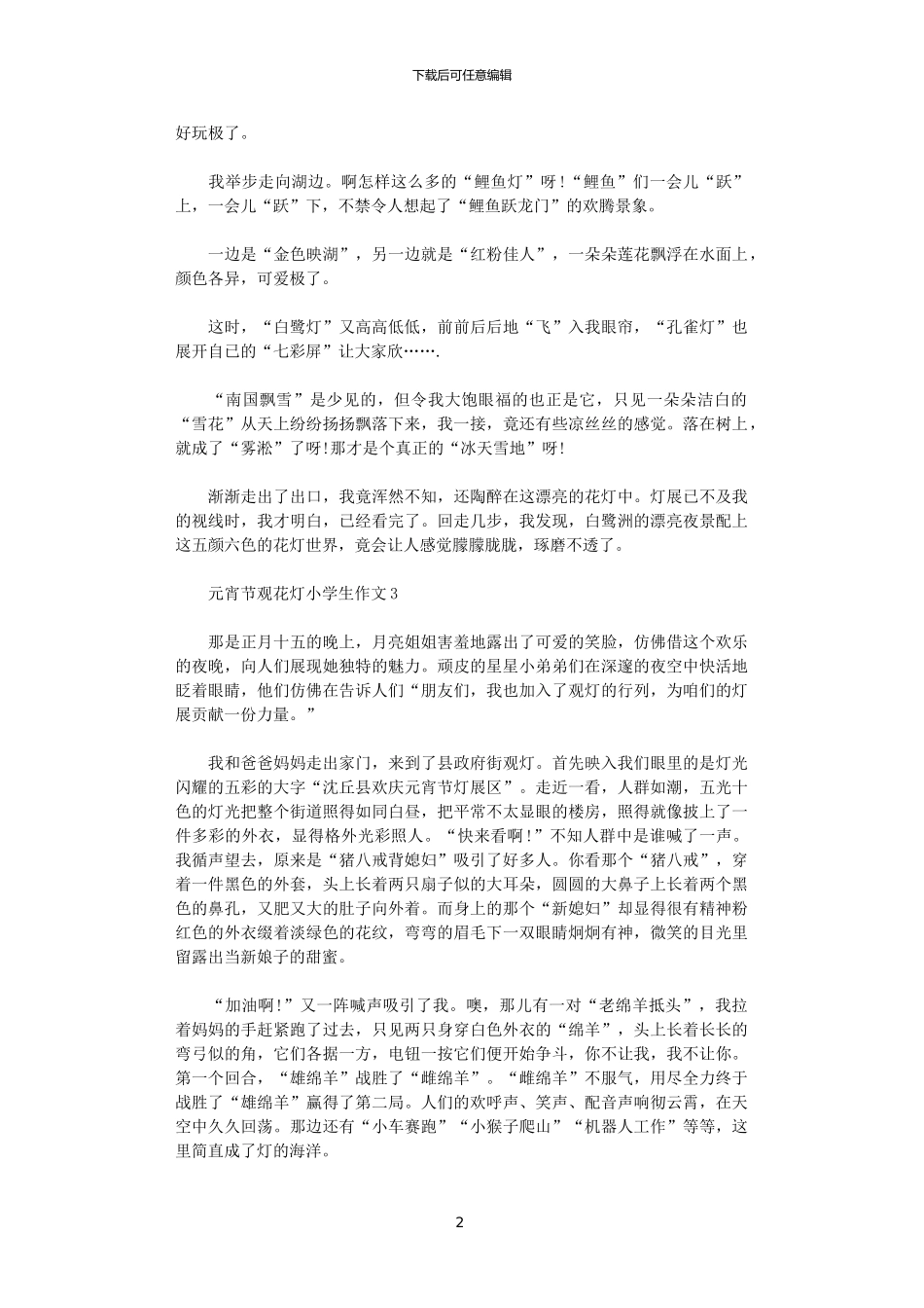 2024年元宵节观花灯小学生作文3篇范文_第2页